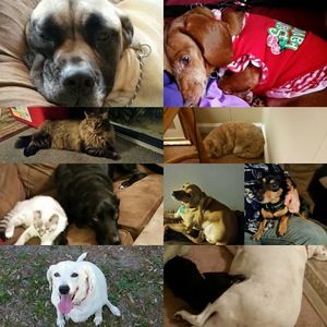 Meet your Posher, Evelyn